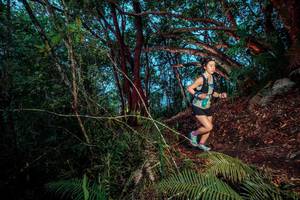 BIB: 
                            <button type="button" onclick="openModal(24786898)" class="btn btn-primary btn-sm float-right btn-popup" data-toggle="modal" data-target=".modal-high-quality">
                        <i class="fas fa-shopping-cart"></i> Add to Cart
                    </button>
                                            <button type="button" onclick="isThisMe(24786898, true)" class="btn btn-success btn-sm float-right btn-popup btn-isme hidden" data-toggle="tooltip" data-placement="bottom" title="นี่คือรูปของคุณใช่ไหม คลิกที่นี่เพื่อเอาเข้าอัลบั้ม">
                        <i class="fas fa-plus"></i> Add to album
                    </button>
                    <button type="button" onclick="isThisMe(24786898, false)" class="btn btn-warning btn-sm float-right btn-popup btn-isnotme hidden">
                        <i class="fas fa-ban"></i> Remove from album
                    </button>