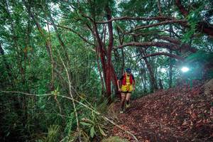 BIB: 
                            <button type="button" onclick="openModal(24781955)" class="btn btn-primary btn-sm float-right btn-popup" data-toggle="modal" data-target=".modal-high-quality">
                        <i class="fas fa-shopping-cart"></i> Add to Cart
                    </button>
                                            <button type="button" onclick="isThisMe(24781955, true)" class="btn btn-success btn-sm float-right btn-popup btn-isme hidden" data-toggle="tooltip" data-placement="bottom" title="นี่คือรูปของคุณใช่ไหม คลิกที่นี่เพื่อเอาเข้าอัลบั้ม">
                        <i class="fas fa-plus"></i> Add to album
                    </button>
                    <button type="button" onclick="isThisMe(24781955, false)" class="btn btn-warning btn-sm float-right btn-popup btn-isnotme hidden">
                        <i class="fas fa-ban"></i> Remove from album
                    </button>