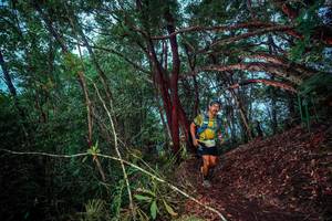 BIB: 
                            <button type="button" onclick="openModal(24789254)" class="btn btn-primary btn-sm float-right btn-popup" data-toggle="modal" data-target=".modal-high-quality">
                        <i class="fas fa-shopping-cart"></i> Add to Cart
                    </button>
                                            <button type="button" onclick="isThisMe(24789254, true)" class="btn btn-success btn-sm float-right btn-popup btn-isme hidden" data-toggle="tooltip" data-placement="bottom" title="นี่คือรูปของคุณใช่ไหม คลิกที่นี่เพื่อเอาเข้าอัลบั้ม">
                        <i class="fas fa-plus"></i> Add to album
                    </button>
                    <button type="button" onclick="isThisMe(24789254, false)" class="btn btn-warning btn-sm float-right btn-popup btn-isnotme hidden">
                        <i class="fas fa-ban"></i> Remove from album
                    </button>