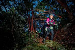 BIB: 
                            <button type="button" onclick="openModal(24781456)" class="btn btn-primary btn-sm float-right btn-popup" data-toggle="modal" data-target=".modal-high-quality">
                        <i class="fas fa-shopping-cart"></i> Add to Cart
                    </button>
                                            <button type="button" onclick="isThisMe(24781456, true)" class="btn btn-success btn-sm float-right btn-popup btn-isme hidden" data-toggle="tooltip" data-placement="bottom" title="นี่คือรูปของคุณใช่ไหม คลิกที่นี่เพื่อเอาเข้าอัลบั้ม">
                        <i class="fas fa-plus"></i> Add to album
                    </button>
                    <button type="button" onclick="isThisMe(24781456, false)" class="btn btn-warning btn-sm float-right btn-popup btn-isnotme hidden">
                        <i class="fas fa-ban"></i> Remove from album
                    </button>