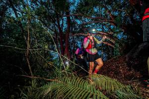 BIB: 
                            <button type="button" onclick="openModal(24782808)" class="btn btn-primary btn-sm float-right btn-popup" data-toggle="modal" data-target=".modal-high-quality">
                        <i class="fas fa-shopping-cart"></i> Add to Cart
                    </button>
                                            <button type="button" onclick="isThisMe(24782808, true)" class="btn btn-success btn-sm float-right btn-popup btn-isme hidden" data-toggle="tooltip" data-placement="bottom" title="นี่คือรูปของคุณใช่ไหม คลิกที่นี่เพื่อเอาเข้าอัลบั้ม">
                        <i class="fas fa-plus"></i> Add to album
                    </button>
                    <button type="button" onclick="isThisMe(24782808, false)" class="btn btn-warning btn-sm float-right btn-popup btn-isnotme hidden">
                        <i class="fas fa-ban"></i> Remove from album
                    </button>