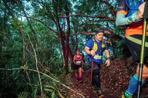 BIB: 24489
                            <button type="button" onclick="openModal(24781388)" class="btn btn-primary btn-sm float-right btn-popup" data-toggle="modal" data-target=".modal-high-quality">
                        <i class="fas fa-shopping-cart"></i> Add to Cart
                    </button>
                                            <button type="button" onclick="isThisMe(24781388, true)" class="btn btn-success btn-sm float-right btn-popup btn-isme hidden" data-toggle="tooltip" data-placement="bottom" title="นี่คือรูปของคุณใช่ไหม คลิกที่นี่เพื่อเอาเข้าอัลบั้ม">
                        <i class="fas fa-plus"></i> Add to album
                    </button>
                    <button type="button" onclick="isThisMe(24781388, false)" class="btn btn-warning btn-sm float-right btn-popup btn-isnotme hidden">
                        <i class="fas fa-ban"></i> Remove from album
                    </button>