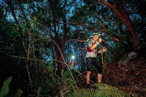 BIB: 
                            <button type="button" onclick="openModal(24783245)" class="btn btn-primary btn-sm float-right btn-popup" data-toggle="modal" data-target=".modal-high-quality">
                        <i class="fas fa-shopping-cart"></i> Add to Cart
                    </button>
                                            <button type="button" onclick="isThisMe(24783245, true)" class="btn btn-success btn-sm float-right btn-popup btn-isme hidden" data-toggle="tooltip" data-placement="bottom" title="นี่คือรูปของคุณใช่ไหม คลิกที่นี่เพื่อเอาเข้าอัลบั้ม">
                        <i class="fas fa-plus"></i> Add to album
                    </button>
                    <button type="button" onclick="isThisMe(24783245, false)" class="btn btn-warning btn-sm float-right btn-popup btn-isnotme hidden">
                        <i class="fas fa-ban"></i> Remove from album
                    </button>