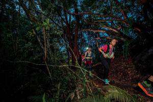 BIB: 
                            <button type="button" onclick="openModal(24782752)" class="btn btn-primary btn-sm float-right btn-popup" data-toggle="modal" data-target=".modal-high-quality">
                        <i class="fas fa-shopping-cart"></i> Add to Cart
                    </button>
                                            <button type="button" onclick="isThisMe(24782752, true)" class="btn btn-success btn-sm float-right btn-popup btn-isme hidden" data-toggle="tooltip" data-placement="bottom" title="นี่คือรูปของคุณใช่ไหม คลิกที่นี่เพื่อเอาเข้าอัลบั้ม">
                        <i class="fas fa-plus"></i> Add to album
                    </button>
                    <button type="button" onclick="isThisMe(24782752, false)" class="btn btn-warning btn-sm float-right btn-popup btn-isnotme hidden">
                        <i class="fas fa-ban"></i> Remove from album
                    </button>