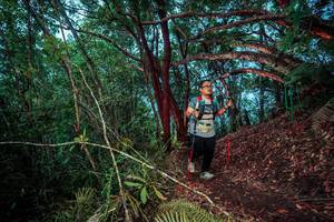 BIB: 
                            <button type="button" onclick="openModal(24780899)" class="btn btn-primary btn-sm float-right btn-popup" data-toggle="modal" data-target=".modal-high-quality">
                        <i class="fas fa-shopping-cart"></i> Add to Cart
                    </button>
                                            <button type="button" onclick="isThisMe(24780899, true)" class="btn btn-success btn-sm float-right btn-popup btn-isme hidden" data-toggle="tooltip" data-placement="bottom" title="นี่คือรูปของคุณใช่ไหม คลิกที่นี่เพื่อเอาเข้าอัลบั้ม">
                        <i class="fas fa-plus"></i> Add to album
                    </button>
                    <button type="button" onclick="isThisMe(24780899, false)" class="btn btn-warning btn-sm float-right btn-popup btn-isnotme hidden">
                        <i class="fas fa-ban"></i> Remove from album
                    </button>