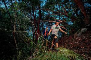 BIB: 
                            <button type="button" onclick="openModal(24784067)" class="btn btn-primary btn-sm float-right btn-popup" data-toggle="modal" data-target=".modal-high-quality">
                        <i class="fas fa-shopping-cart"></i> Add to Cart
                    </button>
                                            <button type="button" onclick="isThisMe(24784067, true)" class="btn btn-success btn-sm float-right btn-popup btn-isme hidden" data-toggle="tooltip" data-placement="bottom" title="นี่คือรูปของคุณใช่ไหม คลิกที่นี่เพื่อเอาเข้าอัลบั้ม">
                        <i class="fas fa-plus"></i> Add to album
                    </button>
                    <button type="button" onclick="isThisMe(24784067, false)" class="btn btn-warning btn-sm float-right btn-popup btn-isnotme hidden">
                        <i class="fas fa-ban"></i> Remove from album
                    </button>