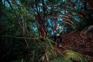 BIB: 
                            <button type="button" onclick="openModal(24786676)" class="btn btn-primary btn-sm float-right btn-popup" data-toggle="modal" data-target=".modal-high-quality">
                        <i class="fas fa-shopping-cart"></i> Add to Cart
                    </button>
                                            <button type="button" onclick="isThisMe(24786676, true)" class="btn btn-success btn-sm float-right btn-popup btn-isme hidden" data-toggle="tooltip" data-placement="bottom" title="นี่คือรูปของคุณใช่ไหม คลิกที่นี่เพื่อเอาเข้าอัลบั้ม">
                        <i class="fas fa-plus"></i> Add to album
                    </button>
                    <button type="button" onclick="isThisMe(24786676, false)" class="btn btn-warning btn-sm float-right btn-popup btn-isnotme hidden">
                        <i class="fas fa-ban"></i> Remove from album
                    </button>