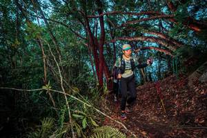 BIB: 
                            <button type="button" onclick="openModal(24788736)" class="btn btn-primary btn-sm float-right btn-popup" data-toggle="modal" data-target=".modal-high-quality">
                        <i class="fas fa-shopping-cart"></i> Add to Cart
                    </button>
                                            <button type="button" onclick="isThisMe(24788736, true)" class="btn btn-success btn-sm float-right btn-popup btn-isme hidden" data-toggle="tooltip" data-placement="bottom" title="นี่คือรูปของคุณใช่ไหม คลิกที่นี่เพื่อเอาเข้าอัลบั้ม">
                        <i class="fas fa-plus"></i> Add to album
                    </button>
                    <button type="button" onclick="isThisMe(24788736, false)" class="btn btn-warning btn-sm float-right btn-popup btn-isnotme hidden">
                        <i class="fas fa-ban"></i> Remove from album
                    </button>