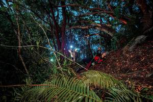 BIB: 
                            <button type="button" onclick="openModal(24784081)" class="btn btn-primary btn-sm float-right btn-popup" data-toggle="modal" data-target=".modal-high-quality">
                        <i class="fas fa-shopping-cart"></i> Add to Cart
                    </button>
                                            <button type="button" onclick="isThisMe(24784081, true)" class="btn btn-success btn-sm float-right btn-popup btn-isme hidden" data-toggle="tooltip" data-placement="bottom" title="นี่คือรูปของคุณใช่ไหม คลิกที่นี่เพื่อเอาเข้าอัลบั้ม">
                        <i class="fas fa-plus"></i> Add to album
                    </button>
                    <button type="button" onclick="isThisMe(24784081, false)" class="btn btn-warning btn-sm float-right btn-popup btn-isnotme hidden">
                        <i class="fas fa-ban"></i> Remove from album
                    </button>