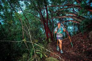 BIB: 
                            <button type="button" onclick="openModal(24789397)" class="btn btn-primary btn-sm float-right btn-popup" data-toggle="modal" data-target=".modal-high-quality">
                        <i class="fas fa-shopping-cart"></i> Add to Cart
                    </button>
                                            <button type="button" onclick="isThisMe(24789397, true)" class="btn btn-success btn-sm float-right btn-popup btn-isme hidden" data-toggle="tooltip" data-placement="bottom" title="นี่คือรูปของคุณใช่ไหม คลิกที่นี่เพื่อเอาเข้าอัลบั้ม">
                        <i class="fas fa-plus"></i> Add to album
                    </button>
                    <button type="button" onclick="isThisMe(24789397, false)" class="btn btn-warning btn-sm float-right btn-popup btn-isnotme hidden">
                        <i class="fas fa-ban"></i> Remove from album
                    </button>