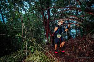 BIB: 
                            <button type="button" onclick="openModal(24788166)" class="btn btn-primary btn-sm float-right btn-popup" data-toggle="modal" data-target=".modal-high-quality">
                        <i class="fas fa-shopping-cart"></i> Add to Cart
                    </button>
                                            <button type="button" onclick="isThisMe(24788166, true)" class="btn btn-success btn-sm float-right btn-popup btn-isme hidden" data-toggle="tooltip" data-placement="bottom" title="นี่คือรูปของคุณใช่ไหม คลิกที่นี่เพื่อเอาเข้าอัลบั้ม">
                        <i class="fas fa-plus"></i> Add to album
                    </button>
                    <button type="button" onclick="isThisMe(24788166, false)" class="btn btn-warning btn-sm float-right btn-popup btn-isnotme hidden">
                        <i class="fas fa-ban"></i> Remove from album
                    </button>