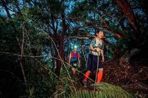 BIB: 
                            <button type="button" onclick="openModal(24783154)" class="btn btn-primary btn-sm float-right btn-popup" data-toggle="modal" data-target=".modal-high-quality">
                        <i class="fas fa-shopping-cart"></i> Add to Cart
                    </button>
                                            <button type="button" onclick="isThisMe(24783154, true)" class="btn btn-success btn-sm float-right btn-popup btn-isme hidden" data-toggle="tooltip" data-placement="bottom" title="นี่คือรูปของคุณใช่ไหม คลิกที่นี่เพื่อเอาเข้าอัลบั้ม">
                        <i class="fas fa-plus"></i> Add to album
                    </button>
                    <button type="button" onclick="isThisMe(24783154, false)" class="btn btn-warning btn-sm float-right btn-popup btn-isnotme hidden">
                        <i class="fas fa-ban"></i> Remove from album
                    </button>