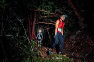 BIB: 241, 
                            <button type="button" onclick="openModal(24782497)" class="btn btn-primary btn-sm float-right btn-popup" data-toggle="modal" data-target=".modal-high-quality">
                        <i class="fas fa-shopping-cart"></i> Add to Cart
                    </button>
                                            <button type="button" onclick="isThisMe(24782497, true)" class="btn btn-success btn-sm float-right btn-popup btn-isme hidden" data-toggle="tooltip" data-placement="bottom" title="นี่คือรูปของคุณใช่ไหม คลิกที่นี่เพื่อเอาเข้าอัลบั้ม">
                        <i class="fas fa-plus"></i> Add to album
                    </button>
                    <button type="button" onclick="isThisMe(24782497, false)" class="btn btn-warning btn-sm float-right btn-popup btn-isnotme hidden">
                        <i class="fas fa-ban"></i> Remove from album
                    </button>