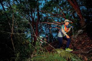 BIB: 
                            <button type="button" onclick="openModal(24782898)" class="btn btn-primary btn-sm float-right btn-popup" data-toggle="modal" data-target=".modal-high-quality">
                        <i class="fas fa-shopping-cart"></i> Add to Cart
                    </button>
                                            <button type="button" onclick="isThisMe(24782898, true)" class="btn btn-success btn-sm float-right btn-popup btn-isme hidden" data-toggle="tooltip" data-placement="bottom" title="นี่คือรูปของคุณใช่ไหม คลิกที่นี่เพื่อเอาเข้าอัลบั้ม">
                        <i class="fas fa-plus"></i> Add to album
                    </button>
                    <button type="button" onclick="isThisMe(24782898, false)" class="btn btn-warning btn-sm float-right btn-popup btn-isnotme hidden">
                        <i class="fas fa-ban"></i> Remove from album
                    </button>