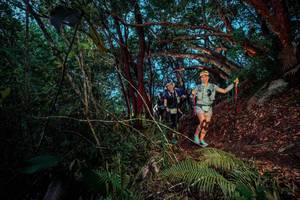 BIB: 
                            <button type="button" onclick="openModal(24786020)" class="btn btn-primary btn-sm float-right btn-popup" data-toggle="modal" data-target=".modal-high-quality">
                        <i class="fas fa-shopping-cart"></i> Add to Cart
                    </button>
                                            <button type="button" onclick="isThisMe(24786020, true)" class="btn btn-success btn-sm float-right btn-popup btn-isme hidden" data-toggle="tooltip" data-placement="bottom" title="นี่คือรูปของคุณใช่ไหม คลิกที่นี่เพื่อเอาเข้าอัลบั้ม">
                        <i class="fas fa-plus"></i> Add to album
                    </button>
                    <button type="button" onclick="isThisMe(24786020, false)" class="btn btn-warning btn-sm float-right btn-popup btn-isnotme hidden">
                        <i class="fas fa-ban"></i> Remove from album
                    </button>