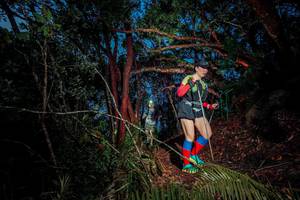 BIB: 
                            <button type="button" onclick="openModal(24781013)" class="btn btn-primary btn-sm float-right btn-popup" data-toggle="modal" data-target=".modal-high-quality">
                        <i class="fas fa-shopping-cart"></i> Add to Cart
                    </button>
                                            <button type="button" onclick="isThisMe(24781013, true)" class="btn btn-success btn-sm float-right btn-popup btn-isme hidden" data-toggle="tooltip" data-placement="bottom" title="นี่คือรูปของคุณใช่ไหม คลิกที่นี่เพื่อเอาเข้าอัลบั้ม">
                        <i class="fas fa-plus"></i> Add to album
                    </button>
                    <button type="button" onclick="isThisMe(24781013, false)" class="btn btn-warning btn-sm float-right btn-popup btn-isnotme hidden">
                        <i class="fas fa-ban"></i> Remove from album
                    </button>