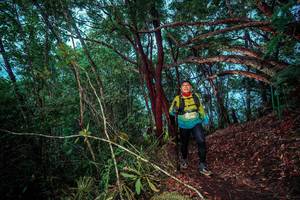 BIB: 
                            <button type="button" onclick="openModal(24789248)" class="btn btn-primary btn-sm float-right btn-popup" data-toggle="modal" data-target=".modal-high-quality">
                        <i class="fas fa-shopping-cart"></i> Add to Cart
                    </button>
                                            <button type="button" onclick="isThisMe(24789248, true)" class="btn btn-success btn-sm float-right btn-popup btn-isme hidden" data-toggle="tooltip" data-placement="bottom" title="นี่คือรูปของคุณใช่ไหม คลิกที่นี่เพื่อเอาเข้าอัลบั้ม">
                        <i class="fas fa-plus"></i> Add to album
                    </button>
                    <button type="button" onclick="isThisMe(24789248, false)" class="btn btn-warning btn-sm float-right btn-popup btn-isnotme hidden">
                        <i class="fas fa-ban"></i> Remove from album
                    </button>