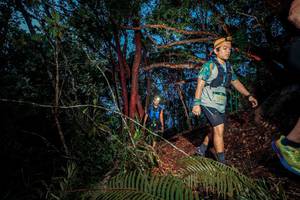 BIB: 2595
                            <button type="button" onclick="openModal(24782009)" class="btn btn-primary btn-sm float-right btn-popup" data-toggle="modal" data-target=".modal-high-quality">
                        <i class="fas fa-shopping-cart"></i> Add to Cart
                    </button>
                                            <button type="button" onclick="isThisMe(24782009, true)" class="btn btn-success btn-sm float-right btn-popup btn-isme hidden" data-toggle="tooltip" data-placement="bottom" title="นี่คือรูปของคุณใช่ไหม คลิกที่นี่เพื่อเอาเข้าอัลบั้ม">
                        <i class="fas fa-plus"></i> Add to album
                    </button>
                    <button type="button" onclick="isThisMe(24782009, false)" class="btn btn-warning btn-sm float-right btn-popup btn-isnotme hidden">
                        <i class="fas fa-ban"></i> Remove from album
                    </button>