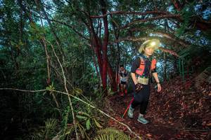 BIB: 2633
                            <button type="button" onclick="openModal(24788752)" class="btn btn-primary btn-sm float-right btn-popup" data-toggle="modal" data-target=".modal-high-quality">
                        <i class="fas fa-shopping-cart"></i> Add to Cart
                    </button>
                                            <button type="button" onclick="isThisMe(24788752, true)" class="btn btn-success btn-sm float-right btn-popup btn-isme hidden" data-toggle="tooltip" data-placement="bottom" title="นี่คือรูปของคุณใช่ไหม คลิกที่นี่เพื่อเอาเข้าอัลบั้ม">
                        <i class="fas fa-plus"></i> Add to album
                    </button>
                    <button type="button" onclick="isThisMe(24788752, false)" class="btn btn-warning btn-sm float-right btn-popup btn-isnotme hidden">
                        <i class="fas fa-ban"></i> Remove from album
                    </button>