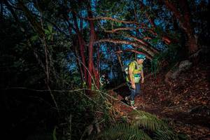 BIB: 
                            <button type="button" onclick="openModal(24782092)" class="btn btn-primary btn-sm float-right btn-popup" data-toggle="modal" data-target=".modal-high-quality">
                        <i class="fas fa-shopping-cart"></i> Add to Cart
                    </button>
                                            <button type="button" onclick="isThisMe(24782092, true)" class="btn btn-success btn-sm float-right btn-popup btn-isme hidden" data-toggle="tooltip" data-placement="bottom" title="นี่คือรูปของคุณใช่ไหม คลิกที่นี่เพื่อเอาเข้าอัลบั้ม">
                        <i class="fas fa-plus"></i> Add to album
                    </button>
                    <button type="button" onclick="isThisMe(24782092, false)" class="btn btn-warning btn-sm float-right btn-popup btn-isnotme hidden">
                        <i class="fas fa-ban"></i> Remove from album
                    </button>