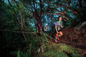 BIB: 
                            <button type="button" onclick="openModal(24787141)" class="btn btn-primary btn-sm float-right btn-popup" data-toggle="modal" data-target=".modal-high-quality">
                        <i class="fas fa-shopping-cart"></i> Add to Cart
                    </button>
                                            <button type="button" onclick="isThisMe(24787141, true)" class="btn btn-success btn-sm float-right btn-popup btn-isme hidden" data-toggle="tooltip" data-placement="bottom" title="นี่คือรูปของคุณใช่ไหม คลิกที่นี่เพื่อเอาเข้าอัลบั้ม">
                        <i class="fas fa-plus"></i> Add to album
                    </button>
                    <button type="button" onclick="isThisMe(24787141, false)" class="btn btn-warning btn-sm float-right btn-popup btn-isnotme hidden">
                        <i class="fas fa-ban"></i> Remove from album
                    </button>