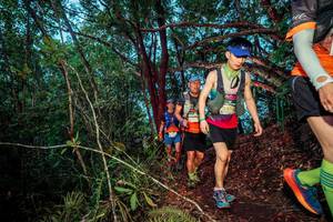 BIB: 269
                            <button type="button" onclick="openModal(24788581)" class="btn btn-primary btn-sm float-right btn-popup" data-toggle="modal" data-target=".modal-high-quality">
                        <i class="fas fa-shopping-cart"></i> Add to Cart
                    </button>
                                            <button type="button" onclick="isThisMe(24788581, true)" class="btn btn-success btn-sm float-right btn-popup btn-isme hidden" data-toggle="tooltip" data-placement="bottom" title="นี่คือรูปของคุณใช่ไหม คลิกที่นี่เพื่อเอาเข้าอัลบั้ม">
                        <i class="fas fa-plus"></i> Add to album
                    </button>
                    <button type="button" onclick="isThisMe(24788581, false)" class="btn btn-warning btn-sm float-right btn-popup btn-isnotme hidden">
                        <i class="fas fa-ban"></i> Remove from album
                    </button>