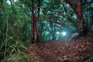 BIB: 
                            <button type="button" onclick="openModal(24781790)" class="btn btn-primary btn-sm float-right btn-popup" data-toggle="modal" data-target=".modal-high-quality">
                        <i class="fas fa-shopping-cart"></i> Add to Cart
                    </button>
                                            <button type="button" onclick="isThisMe(24781790, true)" class="btn btn-success btn-sm float-right btn-popup btn-isme hidden" data-toggle="tooltip" data-placement="bottom" title="นี่คือรูปของคุณใช่ไหม คลิกที่นี่เพื่อเอาเข้าอัลบั้ม">
                        <i class="fas fa-plus"></i> Add to album
                    </button>
                    <button type="button" onclick="isThisMe(24781790, false)" class="btn btn-warning btn-sm float-right btn-popup btn-isnotme hidden">
                        <i class="fas fa-ban"></i> Remove from album
                    </button>