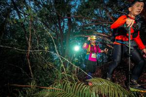 BIB: 
                            <button type="button" onclick="openModal(24782512)" class="btn btn-primary btn-sm float-right btn-popup" data-toggle="modal" data-target=".modal-high-quality">
                        <i class="fas fa-shopping-cart"></i> Add to Cart
                    </button>
                                            <button type="button" onclick="isThisMe(24782512, true)" class="btn btn-success btn-sm float-right btn-popup btn-isme hidden" data-toggle="tooltip" data-placement="bottom" title="นี่คือรูปของคุณใช่ไหม คลิกที่นี่เพื่อเอาเข้าอัลบั้ม">
                        <i class="fas fa-plus"></i> Add to album
                    </button>
                    <button type="button" onclick="isThisMe(24782512, false)" class="btn btn-warning btn-sm float-right btn-popup btn-isnotme hidden">
                        <i class="fas fa-ban"></i> Remove from album
                    </button>