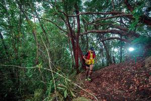 BIB: 
                            <button type="button" onclick="openModal(24781951)" class="btn btn-primary btn-sm float-right btn-popup" data-toggle="modal" data-target=".modal-high-quality">
                        <i class="fas fa-shopping-cart"></i> Add to Cart
                    </button>
                                            <button type="button" onclick="isThisMe(24781951, true)" class="btn btn-success btn-sm float-right btn-popup btn-isme hidden" data-toggle="tooltip" data-placement="bottom" title="นี่คือรูปของคุณใช่ไหม คลิกที่นี่เพื่อเอาเข้าอัลบั้ม">
                        <i class="fas fa-plus"></i> Add to album
                    </button>
                    <button type="button" onclick="isThisMe(24781951, false)" class="btn btn-warning btn-sm float-right btn-popup btn-isnotme hidden">
                        <i class="fas fa-ban"></i> Remove from album
                    </button>