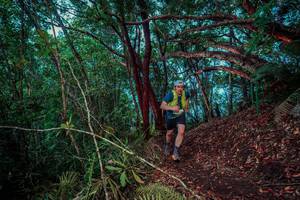 BIB: 
                            <button type="button" onclick="openModal(24781599)" class="btn btn-primary btn-sm float-right btn-popup" data-toggle="modal" data-target=".modal-high-quality">
                        <i class="fas fa-shopping-cart"></i> Add to Cart
                    </button>
                                            <button type="button" onclick="isThisMe(24781599, true)" class="btn btn-success btn-sm float-right btn-popup btn-isme hidden" data-toggle="tooltip" data-placement="bottom" title="นี่คือรูปของคุณใช่ไหม คลิกที่นี่เพื่อเอาเข้าอัลบั้ม">
                        <i class="fas fa-plus"></i> Add to album
                    </button>
                    <button type="button" onclick="isThisMe(24781599, false)" class="btn btn-warning btn-sm float-right btn-popup btn-isnotme hidden">
                        <i class="fas fa-ban"></i> Remove from album
                    </button>