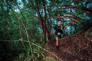 BIB: 
                            <button type="button" onclick="openModal(24781233)" class="btn btn-primary btn-sm float-right btn-popup" data-toggle="modal" data-target=".modal-high-quality">
                        <i class="fas fa-shopping-cart"></i> Add to Cart
                    </button>
                                            <button type="button" onclick="isThisMe(24781233, true)" class="btn btn-success btn-sm float-right btn-popup btn-isme hidden" data-toggle="tooltip" data-placement="bottom" title="นี่คือรูปของคุณใช่ไหม คลิกที่นี่เพื่อเอาเข้าอัลบั้ม">
                        <i class="fas fa-plus"></i> Add to album
                    </button>
                    <button type="button" onclick="isThisMe(24781233, false)" class="btn btn-warning btn-sm float-right btn-popup btn-isnotme hidden">
                        <i class="fas fa-ban"></i> Remove from album
                    </button>