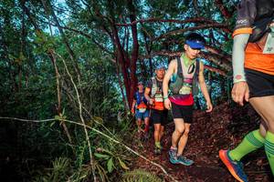 BIB: 2695
                            <button type="button" onclick="openModal(24788555)" class="btn btn-primary btn-sm float-right btn-popup" data-toggle="modal" data-target=".modal-high-quality">
                        <i class="fas fa-shopping-cart"></i> Add to Cart
                    </button>
                                            <button type="button" onclick="isThisMe(24788555, true)" class="btn btn-success btn-sm float-right btn-popup btn-isme hidden" data-toggle="tooltip" data-placement="bottom" title="นี่คือรูปของคุณใช่ไหม คลิกที่นี่เพื่อเอาเข้าอัลบั้ม">
                        <i class="fas fa-plus"></i> Add to album
                    </button>
                    <button type="button" onclick="isThisMe(24788555, false)" class="btn btn-warning btn-sm float-right btn-popup btn-isnotme hidden">
                        <i class="fas fa-ban"></i> Remove from album
                    </button>