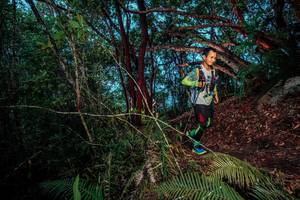 BIB: 
                            <button type="button" onclick="openModal(24787747)" class="btn btn-primary btn-sm float-right btn-popup" data-toggle="modal" data-target=".modal-high-quality">
                        <i class="fas fa-shopping-cart"></i> Add to Cart
                    </button>
                                            <button type="button" onclick="isThisMe(24787747, true)" class="btn btn-success btn-sm float-right btn-popup btn-isme hidden" data-toggle="tooltip" data-placement="bottom" title="นี่คือรูปของคุณใช่ไหม คลิกที่นี่เพื่อเอาเข้าอัลบั้ม">
                        <i class="fas fa-plus"></i> Add to album
                    </button>
                    <button type="button" onclick="isThisMe(24787747, false)" class="btn btn-warning btn-sm float-right btn-popup btn-isnotme hidden">
                        <i class="fas fa-ban"></i> Remove from album
                    </button>