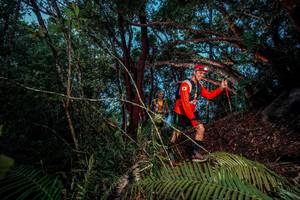 BIB: 
                            <button type="button" onclick="openModal(24784493)" class="btn btn-primary btn-sm float-right btn-popup" data-toggle="modal" data-target=".modal-high-quality">
                        <i class="fas fa-shopping-cart"></i> Add to Cart
                    </button>
                                            <button type="button" onclick="isThisMe(24784493, true)" class="btn btn-success btn-sm float-right btn-popup btn-isme hidden" data-toggle="tooltip" data-placement="bottom" title="นี่คือรูปของคุณใช่ไหม คลิกที่นี่เพื่อเอาเข้าอัลบั้ม">
                        <i class="fas fa-plus"></i> Add to album
                    </button>
                    <button type="button" onclick="isThisMe(24784493, false)" class="btn btn-warning btn-sm float-right btn-popup btn-isnotme hidden">
                        <i class="fas fa-ban"></i> Remove from album
                    </button>