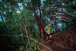 BIB: 
                            <button type="button" onclick="openModal(24789273)" class="btn btn-primary btn-sm float-right btn-popup" data-toggle="modal" data-target=".modal-high-quality">
                        <i class="fas fa-shopping-cart"></i> Add to Cart
                    </button>
                                            <button type="button" onclick="isThisMe(24789273, true)" class="btn btn-success btn-sm float-right btn-popup btn-isme hidden" data-toggle="tooltip" data-placement="bottom" title="นี่คือรูปของคุณใช่ไหม คลิกที่นี่เพื่อเอาเข้าอัลบั้ม">
                        <i class="fas fa-plus"></i> Add to album
                    </button>
                    <button type="button" onclick="isThisMe(24789273, false)" class="btn btn-warning btn-sm float-right btn-popup btn-isnotme hidden">
                        <i class="fas fa-ban"></i> Remove from album
                    </button>