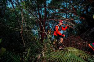 BIB: 
                            <button type="button" onclick="openModal(24784484)" class="btn btn-primary btn-sm float-right btn-popup" data-toggle="modal" data-target=".modal-high-quality">
                        <i class="fas fa-shopping-cart"></i> Add to Cart
                    </button>
                                            <button type="button" onclick="isThisMe(24784484, true)" class="btn btn-success btn-sm float-right btn-popup btn-isme hidden" data-toggle="tooltip" data-placement="bottom" title="นี่คือรูปของคุณใช่ไหม คลิกที่นี่เพื่อเอาเข้าอัลบั้ม">
                        <i class="fas fa-plus"></i> Add to album
                    </button>
                    <button type="button" onclick="isThisMe(24784484, false)" class="btn btn-warning btn-sm float-right btn-popup btn-isnotme hidden">
                        <i class="fas fa-ban"></i> Remove from album
                    </button>