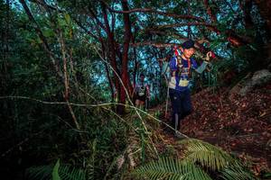 BIB: 
                            <button type="button" onclick="openModal(24787041)" class="btn btn-primary btn-sm float-right btn-popup" data-toggle="modal" data-target=".modal-high-quality">
                        <i class="fas fa-shopping-cart"></i> Add to Cart
                    </button>
                                            <button type="button" onclick="isThisMe(24787041, true)" class="btn btn-success btn-sm float-right btn-popup btn-isme hidden" data-toggle="tooltip" data-placement="bottom" title="นี่คือรูปของคุณใช่ไหม คลิกที่นี่เพื่อเอาเข้าอัลบั้ม">
                        <i class="fas fa-plus"></i> Add to album
                    </button>
                    <button type="button" onclick="isThisMe(24787041, false)" class="btn btn-warning btn-sm float-right btn-popup btn-isnotme hidden">
                        <i class="fas fa-ban"></i> Remove from album
                    </button>