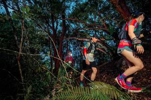 BIB: 
                            <button type="button" onclick="openModal(24782995)" class="btn btn-primary btn-sm float-right btn-popup" data-toggle="modal" data-target=".modal-high-quality">
                        <i class="fas fa-shopping-cart"></i> Add to Cart
                    </button>
                                            <button type="button" onclick="isThisMe(24782995, true)" class="btn btn-success btn-sm float-right btn-popup btn-isme hidden" data-toggle="tooltip" data-placement="bottom" title="นี่คือรูปของคุณใช่ไหม คลิกที่นี่เพื่อเอาเข้าอัลบั้ม">
                        <i class="fas fa-plus"></i> Add to album
                    </button>
                    <button type="button" onclick="isThisMe(24782995, false)" class="btn btn-warning btn-sm float-right btn-popup btn-isnotme hidden">
                        <i class="fas fa-ban"></i> Remove from album
                    </button>