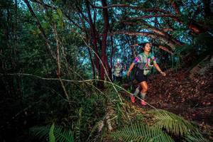 BIB: 
                            <button type="button" onclick="openModal(24787103)" class="btn btn-primary btn-sm float-right btn-popup" data-toggle="modal" data-target=".modal-high-quality">
                        <i class="fas fa-shopping-cart"></i> Add to Cart
                    </button>
                                            <button type="button" onclick="isThisMe(24787103, true)" class="btn btn-success btn-sm float-right btn-popup btn-isme hidden" data-toggle="tooltip" data-placement="bottom" title="นี่คือรูปของคุณใช่ไหม คลิกที่นี่เพื่อเอาเข้าอัลบั้ม">
                        <i class="fas fa-plus"></i> Add to album
                    </button>
                    <button type="button" onclick="isThisMe(24787103, false)" class="btn btn-warning btn-sm float-right btn-popup btn-isnotme hidden">
                        <i class="fas fa-ban"></i> Remove from album
                    </button>