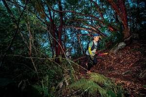 BIB: 
                            <button type="button" onclick="openModal(24786427)" class="btn btn-primary btn-sm float-right btn-popup" data-toggle="modal" data-target=".modal-high-quality">
                        <i class="fas fa-shopping-cart"></i> Add to Cart
                    </button>
                                            <button type="button" onclick="isThisMe(24786427, true)" class="btn btn-success btn-sm float-right btn-popup btn-isme hidden" data-toggle="tooltip" data-placement="bottom" title="นี่คือรูปของคุณใช่ไหม คลิกที่นี่เพื่อเอาเข้าอัลบั้ม">
                        <i class="fas fa-plus"></i> Add to album
                    </button>
                    <button type="button" onclick="isThisMe(24786427, false)" class="btn btn-warning btn-sm float-right btn-popup btn-isnotme hidden">
                        <i class="fas fa-ban"></i> Remove from album
                    </button>