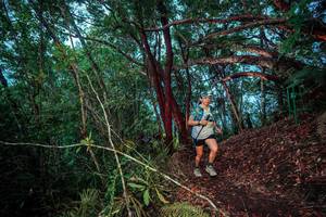 BIB: 
                            <button type="button" onclick="openModal(24789354)" class="btn btn-primary btn-sm float-right btn-popup" data-toggle="modal" data-target=".modal-high-quality">
                        <i class="fas fa-shopping-cart"></i> Add to Cart
                    </button>
                                            <button type="button" onclick="isThisMe(24789354, true)" class="btn btn-success btn-sm float-right btn-popup btn-isme hidden" data-toggle="tooltip" data-placement="bottom" title="นี่คือรูปของคุณใช่ไหม คลิกที่นี่เพื่อเอาเข้าอัลบั้ม">
                        <i class="fas fa-plus"></i> Add to album
                    </button>
                    <button type="button" onclick="isThisMe(24789354, false)" class="btn btn-warning btn-sm float-right btn-popup btn-isnotme hidden">
                        <i class="fas fa-ban"></i> Remove from album
                    </button>