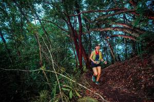 BIB: 
                            <button type="button" onclick="openModal(24789148)" class="btn btn-primary btn-sm float-right btn-popup" data-toggle="modal" data-target=".modal-high-quality">
                        <i class="fas fa-shopping-cart"></i> Add to Cart
                    </button>
                                            <button type="button" onclick="isThisMe(24789148, true)" class="btn btn-success btn-sm float-right btn-popup btn-isme hidden" data-toggle="tooltip" data-placement="bottom" title="นี่คือรูปของคุณใช่ไหม คลิกที่นี่เพื่อเอาเข้าอัลบั้ม">
                        <i class="fas fa-plus"></i> Add to album
                    </button>
                    <button type="button" onclick="isThisMe(24789148, false)" class="btn btn-warning btn-sm float-right btn-popup btn-isnotme hidden">
                        <i class="fas fa-ban"></i> Remove from album
                    </button>