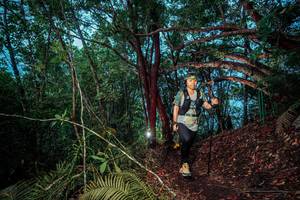 BIB: 
                            <button type="button" onclick="openModal(24788375)" class="btn btn-primary btn-sm float-right btn-popup" data-toggle="modal" data-target=".modal-high-quality">
                        <i class="fas fa-shopping-cart"></i> Add to Cart
                    </button>
                                            <button type="button" onclick="isThisMe(24788375, true)" class="btn btn-success btn-sm float-right btn-popup btn-isme hidden" data-toggle="tooltip" data-placement="bottom" title="นี่คือรูปของคุณใช่ไหม คลิกที่นี่เพื่อเอาเข้าอัลบั้ม">
                        <i class="fas fa-plus"></i> Add to album
                    </button>
                    <button type="button" onclick="isThisMe(24788375, false)" class="btn btn-warning btn-sm float-right btn-popup btn-isnotme hidden">
                        <i class="fas fa-ban"></i> Remove from album
                    </button>