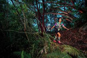 BIB: 
                            <button type="button" onclick="openModal(24787089)" class="btn btn-primary btn-sm float-right btn-popup" data-toggle="modal" data-target=".modal-high-quality">
                        <i class="fas fa-shopping-cart"></i> Add to Cart
                    </button>
                                            <button type="button" onclick="isThisMe(24787089, true)" class="btn btn-success btn-sm float-right btn-popup btn-isme hidden" data-toggle="tooltip" data-placement="bottom" title="นี่คือรูปของคุณใช่ไหม คลิกที่นี่เพื่อเอาเข้าอัลบั้ม">
                        <i class="fas fa-plus"></i> Add to album
                    </button>
                    <button type="button" onclick="isThisMe(24787089, false)" class="btn btn-warning btn-sm float-right btn-popup btn-isnotme hidden">
                        <i class="fas fa-ban"></i> Remove from album
                    </button>