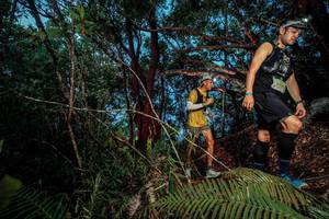 BIB: 
                            <button type="button" onclick="openModal(24784319)" class="btn btn-primary btn-sm float-right btn-popup" data-toggle="modal" data-target=".modal-high-quality">
                        <i class="fas fa-shopping-cart"></i> Add to Cart
                    </button>
                                            <button type="button" onclick="isThisMe(24784319, true)" class="btn btn-success btn-sm float-right btn-popup btn-isme hidden" data-toggle="tooltip" data-placement="bottom" title="นี่คือรูปของคุณใช่ไหม คลิกที่นี่เพื่อเอาเข้าอัลบั้ม">
                        <i class="fas fa-plus"></i> Add to album
                    </button>
                    <button type="button" onclick="isThisMe(24784319, false)" class="btn btn-warning btn-sm float-right btn-popup btn-isnotme hidden">
                        <i class="fas fa-ban"></i> Remove from album
                    </button>