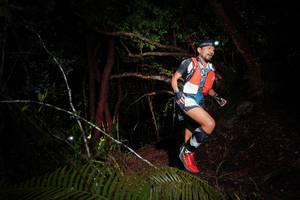 BIB: 
                            <button type="button" onclick="openModal(24782246)" class="btn btn-primary btn-sm float-right btn-popup" data-toggle="modal" data-target=".modal-high-quality">
                        <i class="fas fa-shopping-cart"></i> Add to Cart
                    </button>
                                            <button type="button" onclick="isThisMe(24782246, true)" class="btn btn-success btn-sm float-right btn-popup btn-isme hidden" data-toggle="tooltip" data-placement="bottom" title="นี่คือรูปของคุณใช่ไหม คลิกที่นี่เพื่อเอาเข้าอัลบั้ม">
                        <i class="fas fa-plus"></i> Add to album
                    </button>
                    <button type="button" onclick="isThisMe(24782246, false)" class="btn btn-warning btn-sm float-right btn-popup btn-isnotme hidden">
                        <i class="fas fa-ban"></i> Remove from album
                    </button>