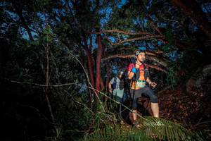 BIB: 
                            <button type="button" onclick="openModal(24781318)" class="btn btn-primary btn-sm float-right btn-popup" data-toggle="modal" data-target=".modal-high-quality">
                        <i class="fas fa-shopping-cart"></i> Add to Cart
                    </button>
                                            <button type="button" onclick="isThisMe(24781318, true)" class="btn btn-success btn-sm float-right btn-popup btn-isme hidden" data-toggle="tooltip" data-placement="bottom" title="นี่คือรูปของคุณใช่ไหม คลิกที่นี่เพื่อเอาเข้าอัลบั้ม">
                        <i class="fas fa-plus"></i> Add to album
                    </button>
                    <button type="button" onclick="isThisMe(24781318, false)" class="btn btn-warning btn-sm float-right btn-popup btn-isnotme hidden">
                        <i class="fas fa-ban"></i> Remove from album
                    </button>