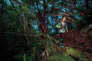 BIB: 
                            <button type="button" onclick="openModal(24787680)" class="btn btn-primary btn-sm float-right btn-popup" data-toggle="modal" data-target=".modal-high-quality">
                        <i class="fas fa-shopping-cart"></i> Add to Cart
                    </button>
                                            <button type="button" onclick="isThisMe(24787680, true)" class="btn btn-success btn-sm float-right btn-popup btn-isme hidden" data-toggle="tooltip" data-placement="bottom" title="นี่คือรูปของคุณใช่ไหม คลิกที่นี่เพื่อเอาเข้าอัลบั้ม">
                        <i class="fas fa-plus"></i> Add to album
                    </button>
                    <button type="button" onclick="isThisMe(24787680, false)" class="btn btn-warning btn-sm float-right btn-popup btn-isnotme hidden">
                        <i class="fas fa-ban"></i> Remove from album
                    </button>