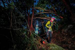 BIB: 
                            <button type="button" onclick="openModal(24789078)" class="btn btn-primary btn-sm float-right btn-popup" data-toggle="modal" data-target=".modal-high-quality">
                        <i class="fas fa-shopping-cart"></i> Add to Cart
                    </button>
                                            <button type="button" onclick="isThisMe(24789078, true)" class="btn btn-success btn-sm float-right btn-popup btn-isme hidden" data-toggle="tooltip" data-placement="bottom" title="นี่คือรูปของคุณใช่ไหม คลิกที่นี่เพื่อเอาเข้าอัลบั้ม">
                        <i class="fas fa-plus"></i> Add to album
                    </button>
                    <button type="button" onclick="isThisMe(24789078, false)" class="btn btn-warning btn-sm float-right btn-popup btn-isnotme hidden">
                        <i class="fas fa-ban"></i> Remove from album
                    </button>