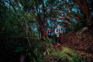 BIB: 
                            <button type="button" onclick="openModal(24786122)" class="btn btn-primary btn-sm float-right btn-popup" data-toggle="modal" data-target=".modal-high-quality">
                        <i class="fas fa-shopping-cart"></i> Add to Cart
                    </button>
                                            <button type="button" onclick="isThisMe(24786122, true)" class="btn btn-success btn-sm float-right btn-popup btn-isme hidden" data-toggle="tooltip" data-placement="bottom" title="นี่คือรูปของคุณใช่ไหม คลิกที่นี่เพื่อเอาเข้าอัลบั้ม">
                        <i class="fas fa-plus"></i> Add to album
                    </button>
                    <button type="button" onclick="isThisMe(24786122, false)" class="btn btn-warning btn-sm float-right btn-popup btn-isnotme hidden">
                        <i class="fas fa-ban"></i> Remove from album
                    </button>